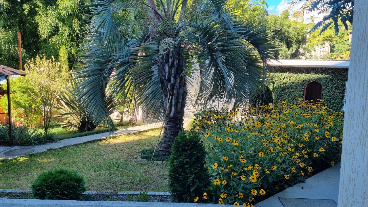 Гостиница Гостевой дом на улице Грибоедова Сочи-124