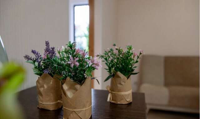 Гостиница Гостевой дом на улице Грибоедова Сочи-16